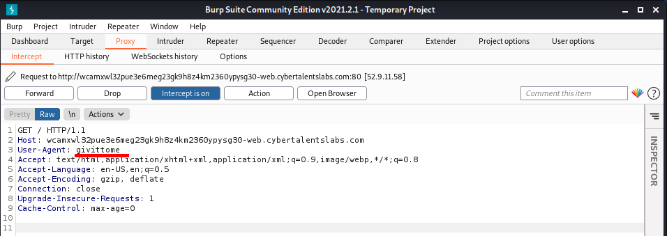 Burpsuite snapshot