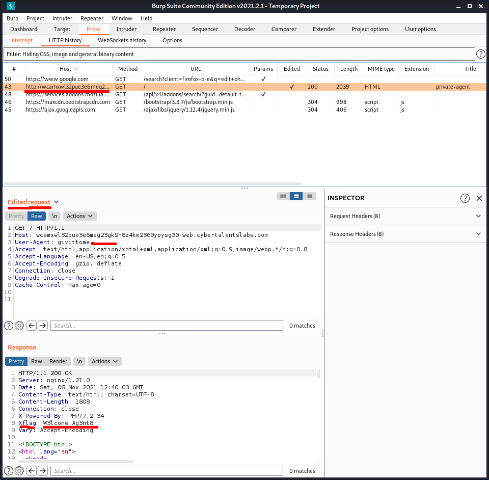 Burpsuite snapshot