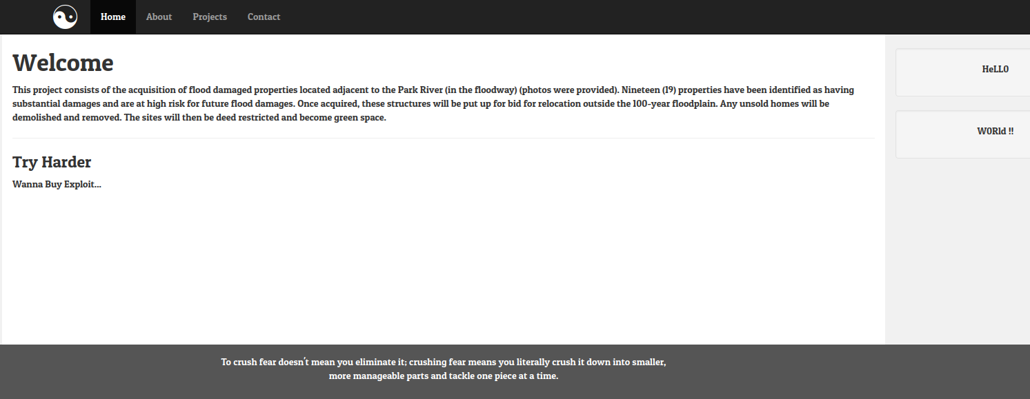 Website snapshot
